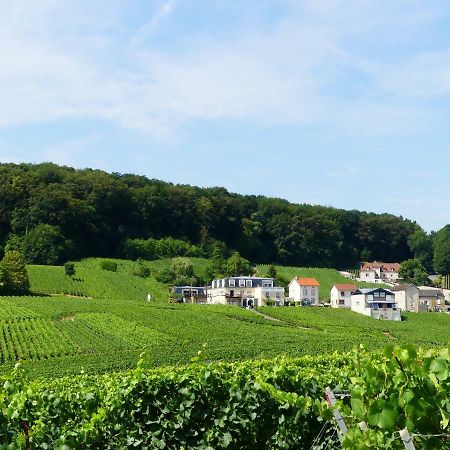 B&B En Champagne Cramant Экстерьер фото